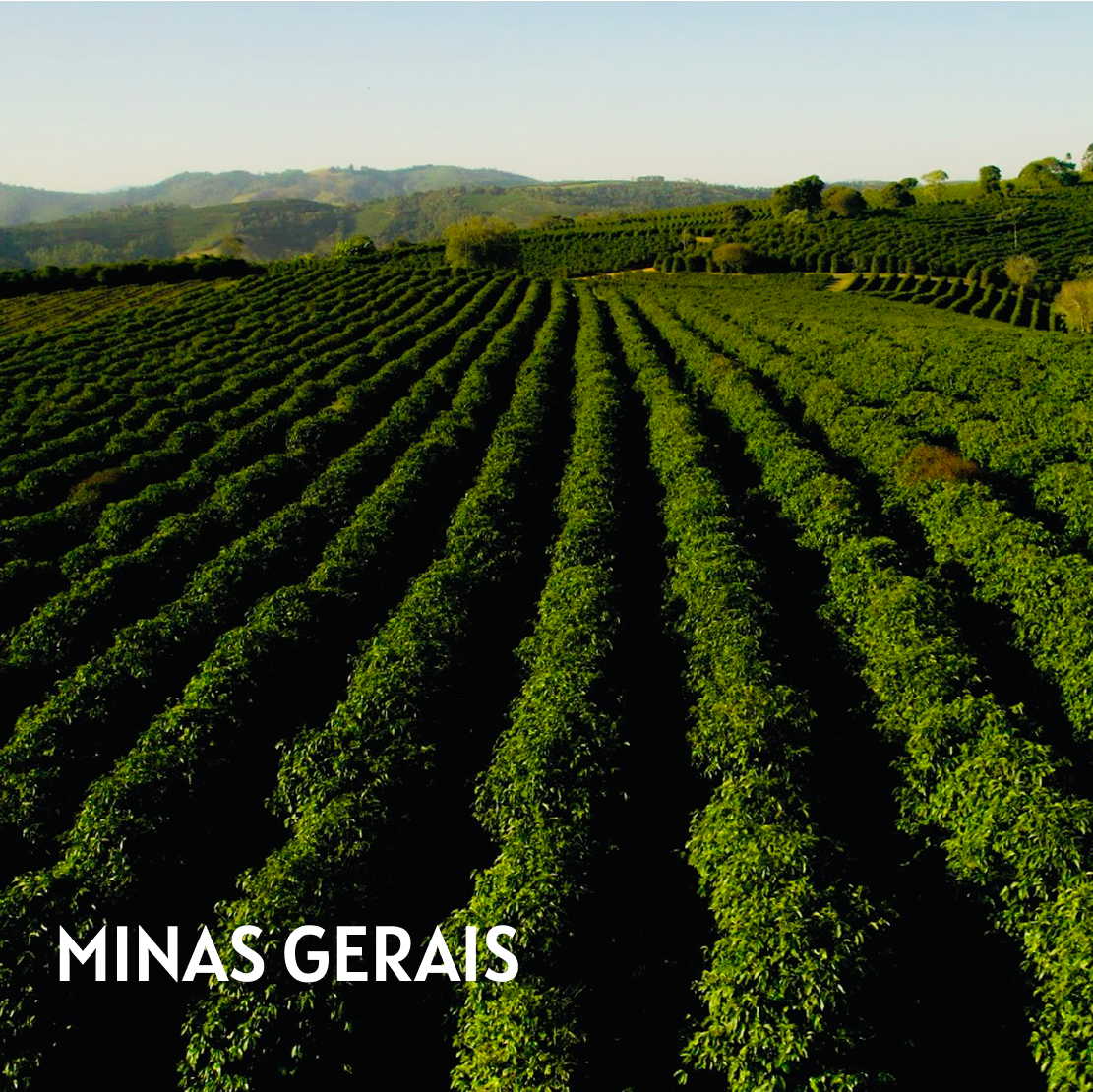 MINAS GERAIS