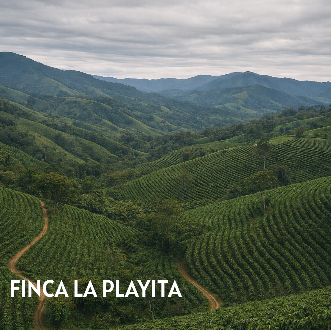 Finca La Playita