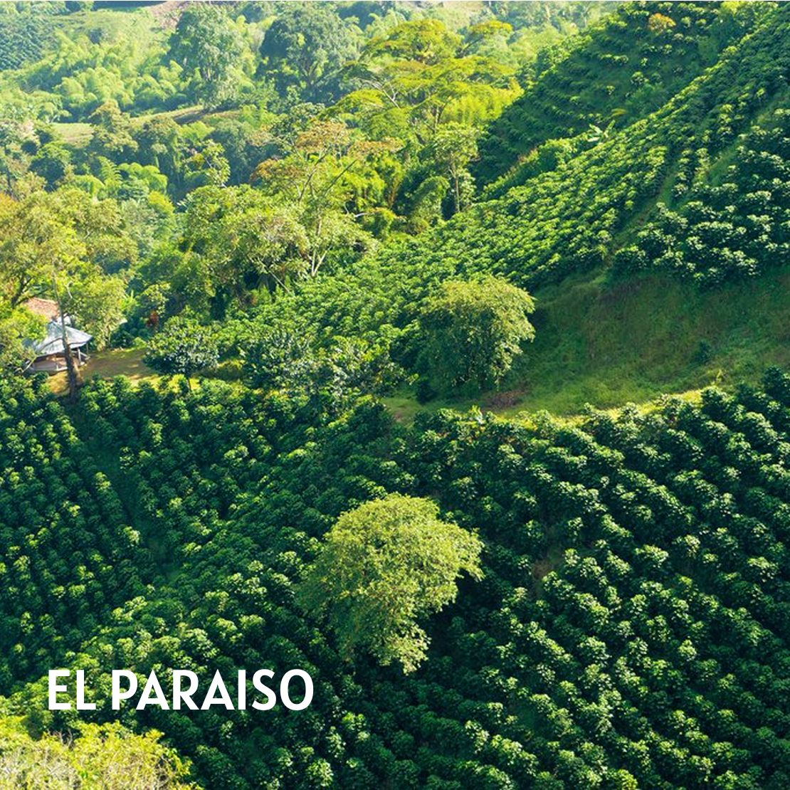 EL PARAISO